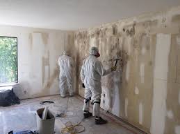 Best Emergency Mold Remediation  in Redland, TX